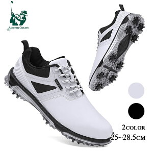 StV[Y Y XpCNt   傫TCY 4E L tBbg V[Y St Xj[J[ y ₷ ₷ ʋC h ϋv R hL Â炢 K 