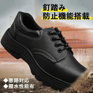 SC ƌC  Y Z[teB[V[Y ɂ Xj[J[ Z[teB[V[Y V[Y |c ܐی X|[cV[Y [Jbg h SV[Y 