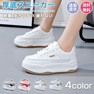 Xj[J[ fB[X X|[cV[Y C V[Y ~ h r r ₷ Ȃ ɂȂ ʋC Vv ʋ ʊw  