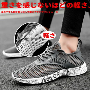 }V[Y Y bV ANAV[Y  y EH[^[V[Y r[`V[Y Ȃ Vm[POV[Y JWA Xb| p