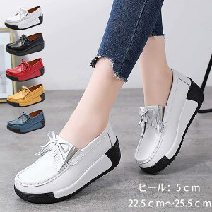 V Xj[J[ Xj[J[ 5cm U[ i {v V[Y [t@[ y D^ p ₷    g ƌC Ōt wlC t  H ~ 