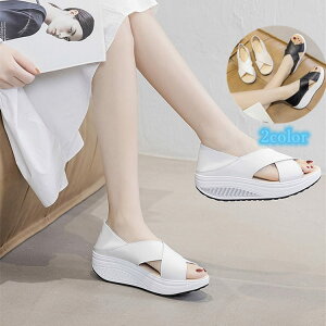 NXC T_ i[XT_   fB[X Xb| ₷ ₷ _CGbgV[Y i[XV[Y p  D^ 5cm EH[LOV[Y ƌC 