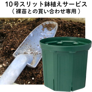 10XbgAT[rXVc(c)Ƃ̔킹p