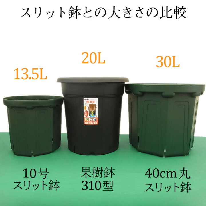 楽天市場】40cm丸(13号)スリット鉢 ☆ 鉢キャップコガネガードセット 