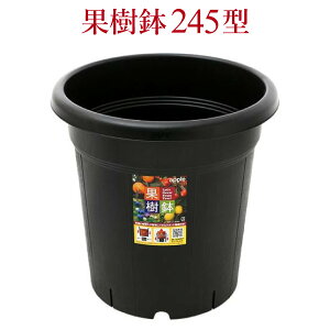 ʎ245^@a24.5cm@8@Xbg