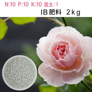 IB 엿@2kgyzԁA؁A앨AɂłI@10-10-10-1