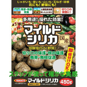 }ChVJiPC_yEj 450g@]_y@xgiCg