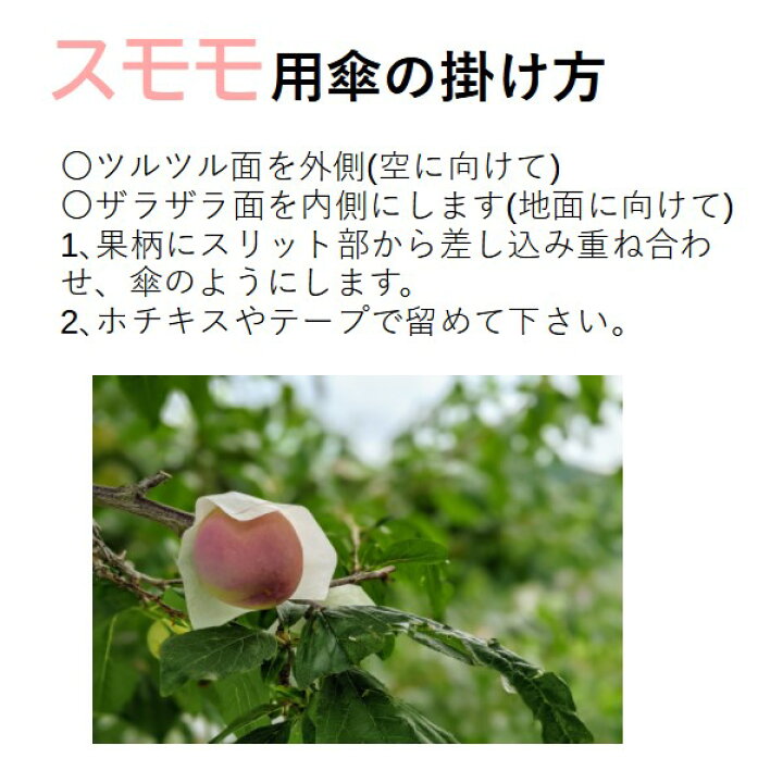 楽天市場】すもも用 蝋引き紙笠 20枚入＜500枚までメール便可＞ スモモ 