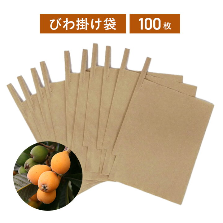 楽天市場】びわ掛袋 100枚入り 房掛け用【メール便送料無料】 果実袋 
