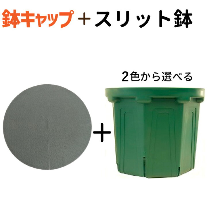 楽天市場 10号スリット鉢 鉢キャップコガネガードセット Csm 300 植木鉢 花実樹 楽天市場 10号スリット鉢 鉢キャップコガネガードセット Csm 300 植木鉢 花実樹