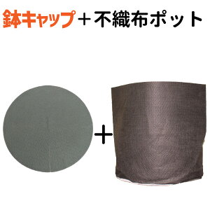 �s�D�z�|�b�g J�}�X�^�[K60�����L���b�v�R�K�l�K�[�h�Z�b�g