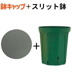 スリット鉢 ロング プランターの人気商品 通販 価格比較 価格 Com