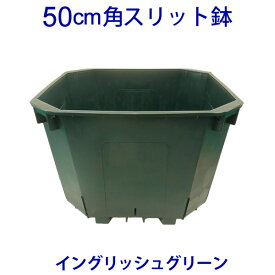 50cm角スリット鉢　イングリッシュ・グリーン　外径約50cm CSM-500角　大型　植木鉢