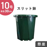 10号スリット鉢【懸崖タイプ】　直径約31cm CSK-300