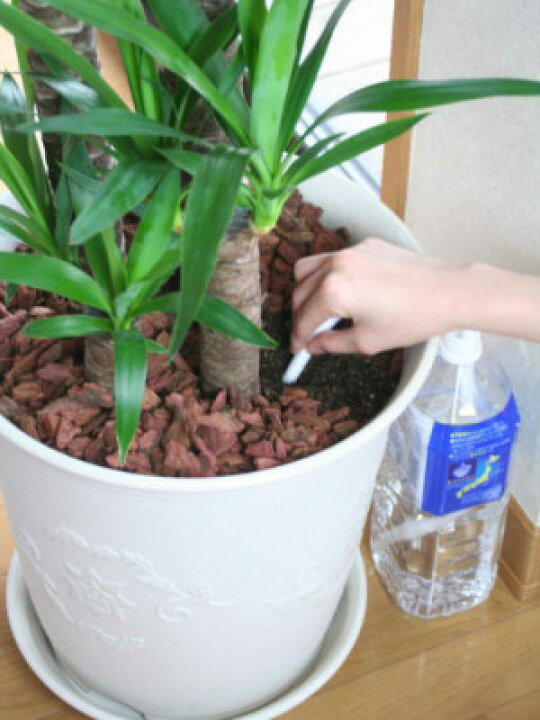 楽天市場 水やり楽だぞぅ 4本入り メール便送料無料 自動潅水 自動水やり 花実樹