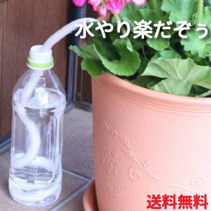 楽天市場 水やり楽だぞぅ 4本入り メール便送料無料 自動潅水 自動水やり 花実樹