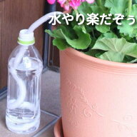 水やり楽だぞぅ　4本入り【送料無料】 自動潅水　自動水やり