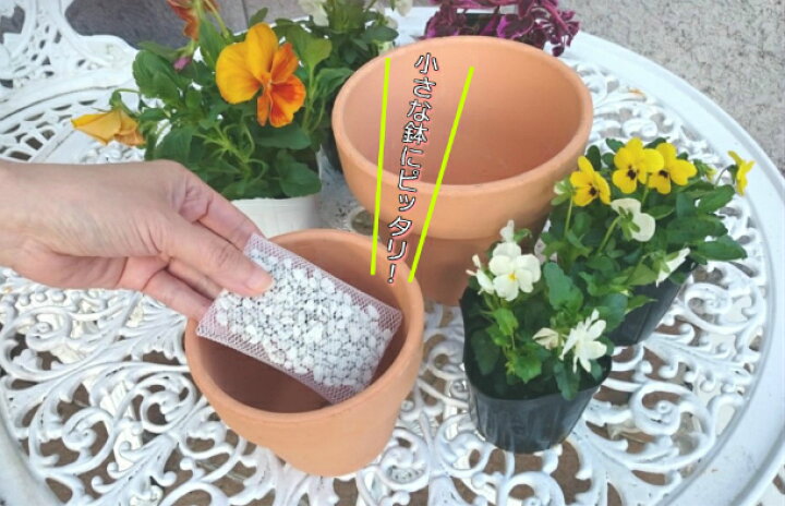 楽天市場 酸素を供給する小さな鉢底石 ネット入り分包 50ml 6袋 送料別 自然応用科学 花実樹 楽天市場 酸素を供給する小さな鉢底石 ネット入り分包 50ml 6袋 送料別 自然応用科学 花実樹