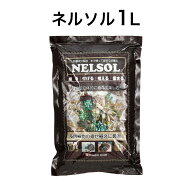 ネルソル 水で練って固まる土 1L 1袋 【メール便送料無料】