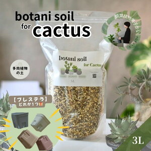 botani soil for cactus 3L bv[gLy[b{^j\C JN^X A̓y