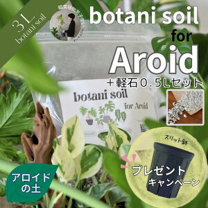 botani soil for Aroid 3L { y΃Zbg @{^j\C ACh