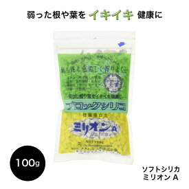 ミリオンA　100g　珪酸塩白土　【メール便送料無料】 ソフトシリカ ブロックシリコ