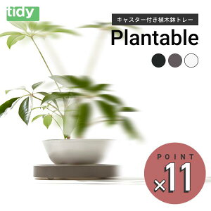 LX^[tM tidy Plantable MTCY (32cm×32cm) 8`10 v^uyzAؔ@M@󂯎M@ϗtA