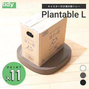 LX^[tM tidy Plantable@LTCYi43cm×43cm) 12`16 v^uyzAؔ@M@󂯎M@ϗtA