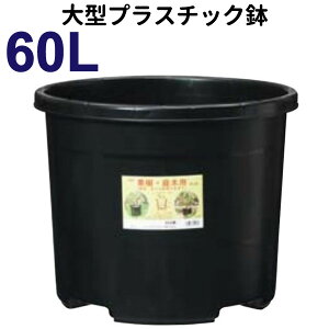 60bgyNP|bgza52cm 60Li17j ^@Aؔ@v@#60