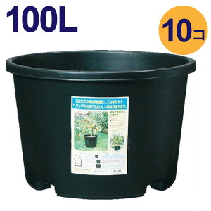 100bg@10P[X̔yz s@NP|bg^ Aؔ v@a65cm^100Li21j@#100