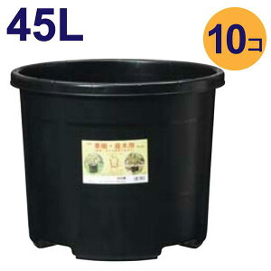 45bg@10 P[X̔yzs@@NP|bg@^@Aؔ@v@a48cm^45Li16j@#45