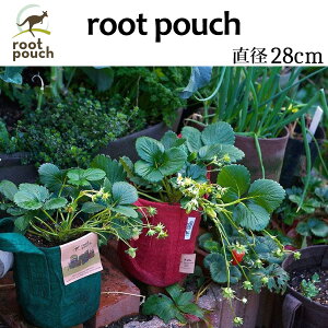 root pouch(���[�c�|�[�`)�@���a28cm ����z�ւł̂��͂��� #5