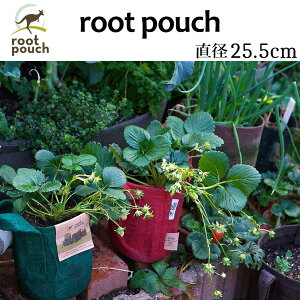root pouch (���[�c�|�[�`�j���a25.5cm�y���[���֑��������z #3
