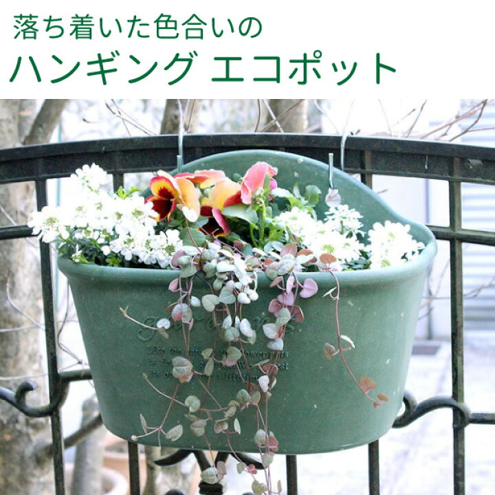 楽天市場 パピエ Hanging Pot 300ハンギングポット300 ハンギングプランター 植木鉢 エコポット 花実樹
