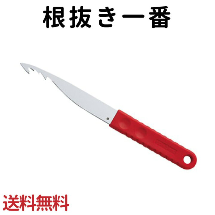 楽天市場 根抜き一番 メール便送料無料 花実樹
