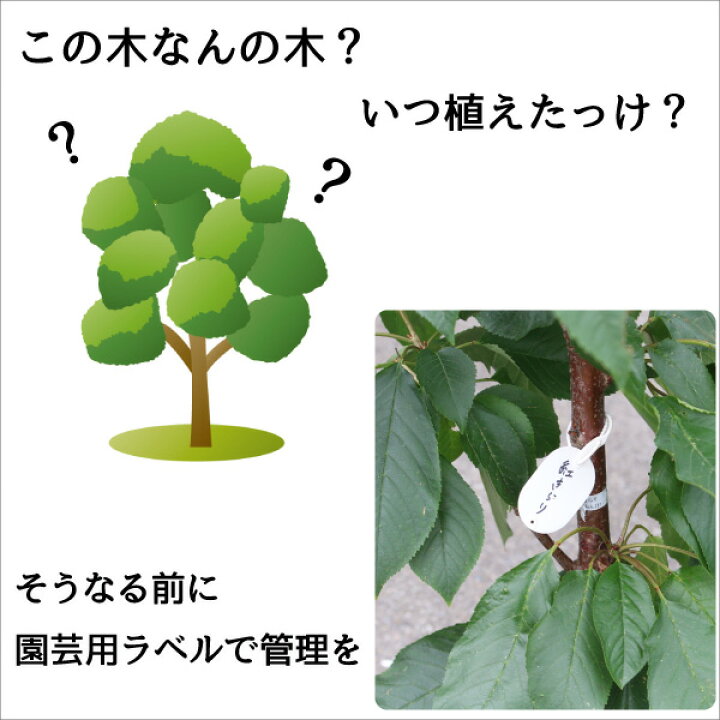 アグリエフ 10枚入り 37mm 55mm フラワーラベル メール便可 園芸用ラベル 小判型 訳あり 園芸用ラベル アグリエフ 10枚入り 37mm 55mm フラワーラベル メール便可 園芸用ラベル 小判型 訳あり 園芸用ラベル