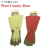 West County Rose (ウェストカウンティーローズ)　【メール便送料無料】 ルビー　モス　ウエストカウンティ