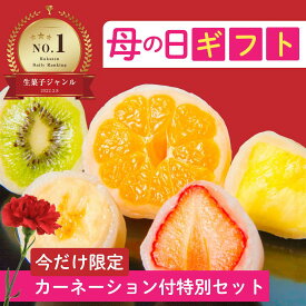 【5月9〜10日着】母の日セット フルーツ大福詰め合わせ 6個 カーネーション付き ギフト お菓子 母の日 お取り寄せスイーツ 高級 和菓子 ランキング 御祝 内祝 人気 美味しい グルメ 大人気 美味しい 送料無料 限定 プレゼント 花とスイーツ 日時指定可 いちご大福
