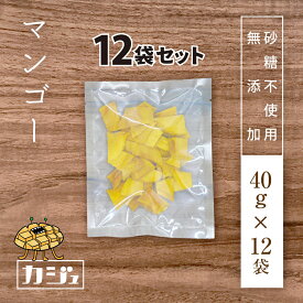 カジュベース 個包装 小分け 無添加 砂糖不使用 ドライマンゴー 480g(40g×12袋) ドライフルーツ 非常食 備蓄食 保存食 防災食品