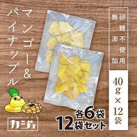 カジュベース 個包装 小分け 無添加 砂糖不使用 ドライフルーツ 480g(40g×各6袋) パイナップル マンゴー 非常食 備蓄食 保存食 防災食品