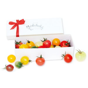 Jtg}gEWG~fBti600gjyszy1119菇z