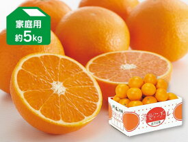 清見タンゴール家庭用約5kg