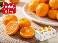 ハウスみかん 約1kg 贈答用