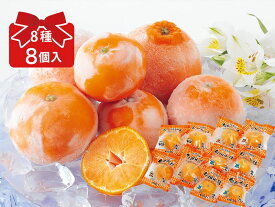 冷凍柑橘いろいろ8種セット（8個入）＜全8種類＞（個包装）（冷凍みかん）