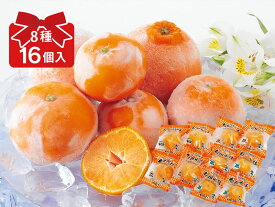 冷凍柑橘いろいろ8種セットW（16個入）＜全8種類＞（個包装）（冷凍みかん）【GW連休前の出荷は終了しました】