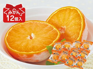 {XEQ݂×12Zbgij