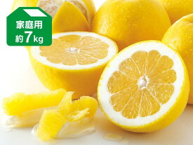 河内晩柑(ジューシーオレンジ・美生柑)家庭用約7kg（愛媛県産）【4月下旬頃～順次出荷予定】【GW連休前の出荷は終了しました】【みかん 柑橘 愛媛産】