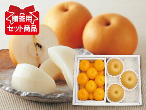 ɑ݂ƐṼZbgy108菇z