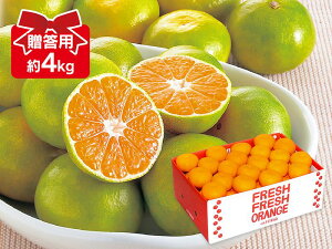 ɑ݂4kg py108菇z
