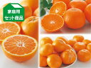 コタツでみかん3種セット＜プチセット＞（愛媛県産）【12月15日頃より順次発送】